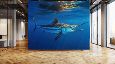 Atlantic Blue Marlin Near the Surface of the Ocean Wall mural