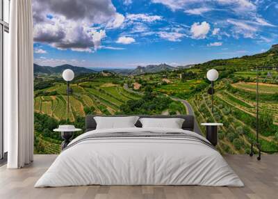 Aerial panoramic view of the vineyard in the Côtes du Rhône at the base of the Mont Ventoux beside les Dentelles de Montmirail Wall mural