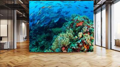 Fish swimming above coral reef in Komodo Wall mural