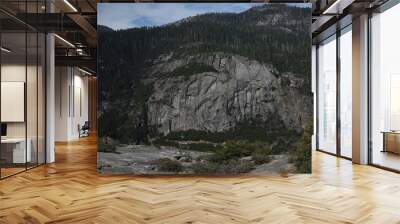 Yosemite NP Wall mural