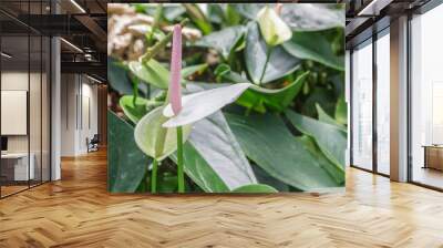 Spadix Wall mural