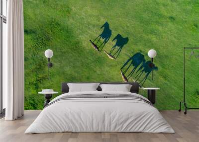 Top view of grazing horses in field Wall mural