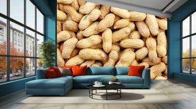 Roasted peanuts in shell background Wall mural