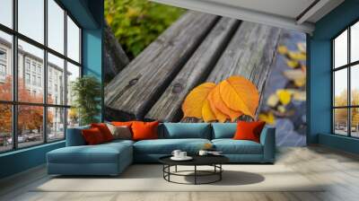 Autumn beautiful leaves lie on a wooden bench in the Park. Wall mural