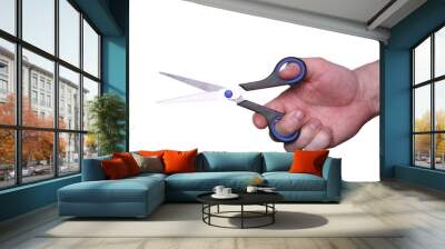 scissors Wall mural