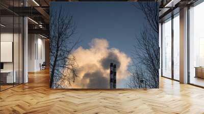 Boiler pipes with smoke against the blue sky, winter, close-up Wall mural