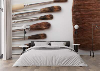 Drawing tools, set of dirty paint brushes in row on white isolated background, copy space, top view Wall mural