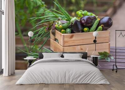 Fresh vegetables in crate in a greenhouse. Organic farm.  Wall mural