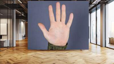 Hand in camouflage shows gesture with his fingers on gray backgr Wall mural