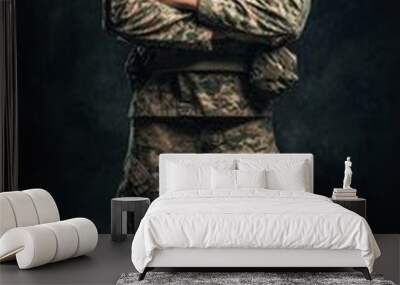 United states army soldier standing proudly in a professional studio environment for a portrait Wall mural