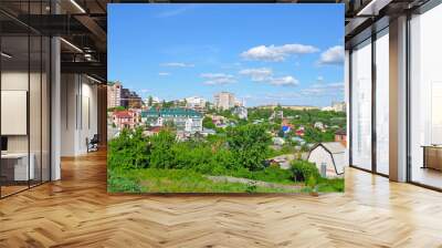 City view with private and high-rise buildings in summer Wall mural