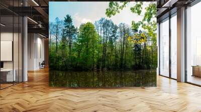 Panorama of forest lakes in spring, young leaves and freshly blossomed buds of trees and shrubs Wall mural