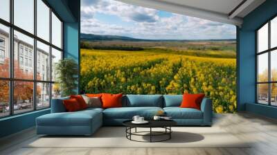 Panorama of yellow rapeseed valley. The mountains and the beautiful spring sky in the background Wall mural