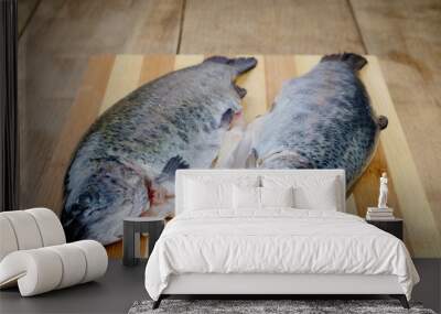 Raw trout Wall mural