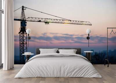 high-rise building crane on the background of the evening sky, building Wall mural