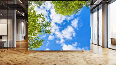 beautiful blue sky with white clouds and green leaves looking up Wall mural