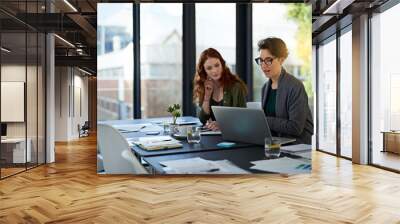 Young and ambitious. Cropped shot of colleagues working together on a laptop in a modern office. Wall mural