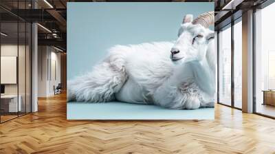  A close-up of a goat resting on the ground, its head turned toward the viewer, displaying distinctive goat features Wall mural