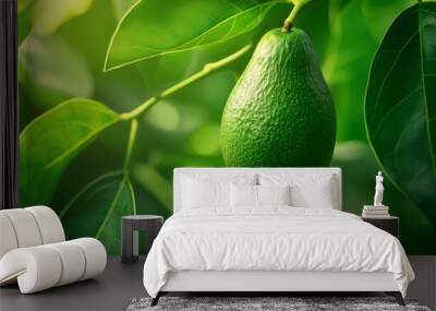  A green avocado dangles from a tree laden with verdant leaves, as sunlight filters through them on a sunlit day Wall mural