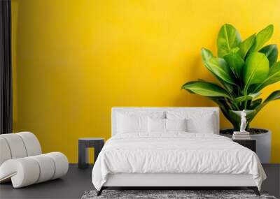  A potted plant atop a yellow wall Nearby, a white vase holds a green plant Wall mural