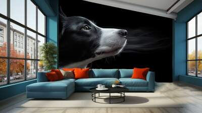  A tight shot of a black-and-white canine's face, displaying smoke emanating from its ears Wall mural