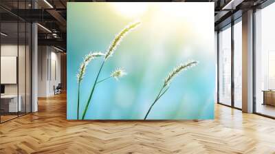  A tight shot of a grass blade, sun illuminating its length, background blurred with sunlit grass Wall mural