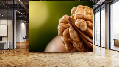  A tight shot of a hand holding a whole walnut in its left hand Background softly out of focus Wall mural