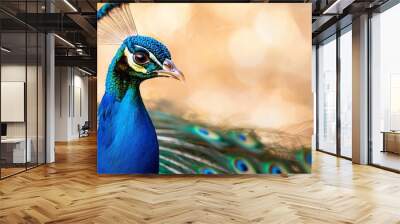  A tight shot of a peacock with spread-out plumage and its head tilted to the side Wall mural