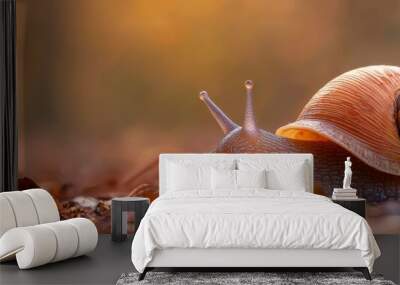  A tight shot of a snail on the earth, surrounded by leaves in the foreground; background softly blurred Wall mural