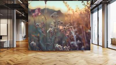   a wildflower field with sunset in the backdrop Sun sets, softly blurring distant elements Wall mural