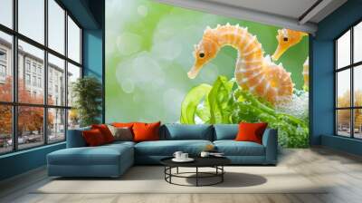  Seahorses atop a lush green seaplant, adorned with seaweed, on a sunny day Wall mural