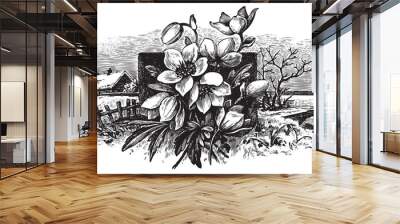 antique engraving (vector) Wall mural