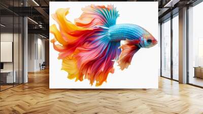 Capture the moving moment of yellow blue siamese fighting fish isolated on white background Wall mural