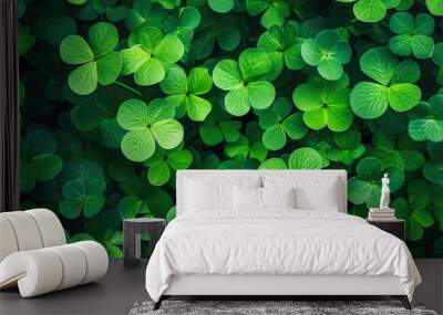 Green clover leaves background. Top view of clover leaves texture. Wall mural