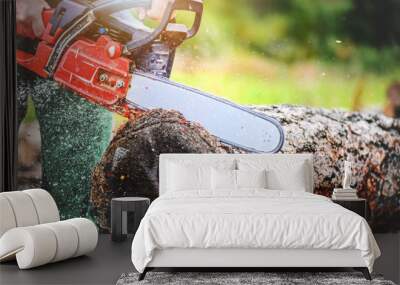 Chainsaw in motion. Woodcutter man clean chain saw after work. Hard wood working in forest. Sawdust fly around. Wall mural