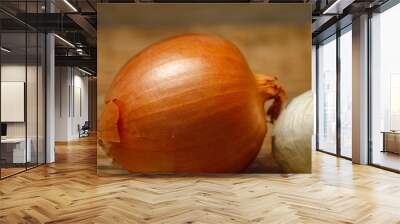 Dry basil spice in metal spoon and ceramic plate on wooden table and garlic and onion in the background Wall mural