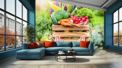 farmer woman holding wooden box full of fresh raw vegetables. basket with vegetable (cabbage, carrot Wall mural