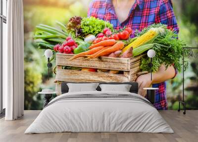 Farmer woman holding wooden box full of fresh raw vegetables. Basket with vegetable (cabbage, carrots, cucumbers, radish, corn, garlic and peppers) in the hands. Wall mural