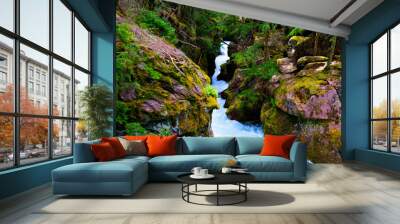 Gorge Wall mural