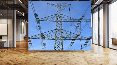 The top of the pylon for 400 kV power transmission line of the Czech transmission system. Close-up with insulators and electric cables.  Wall mural