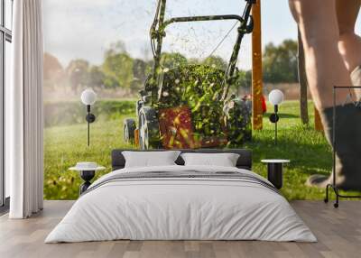 Lawn mover on green grass in modern garden. Wall mural