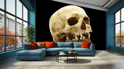 Genuine human skull isolated on black background Wall mural