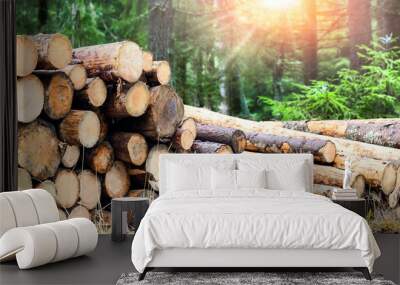 Log trunks pile, the logging timber forest wood industry. Wide banner or panorama wooden trunks Wall mural