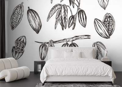 Vector illustration. Sketched hand drawn cacao beans, cacao tree leafs and branches. Chalk style vector set. Wall mural