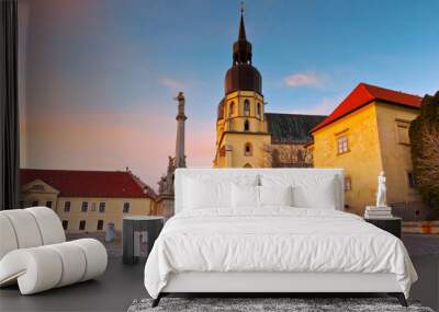 Monument and a church of saint Nicolaus in centre of Trnava, Slovakia. Wall mural