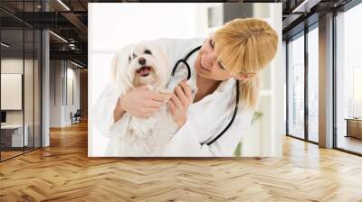 At the veterinary Wall mural