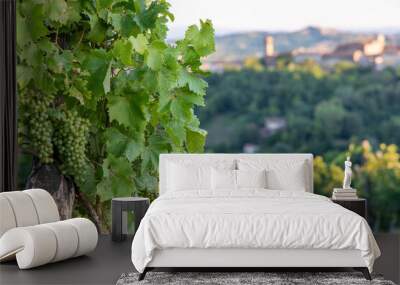 vineyards in Monferrato Piedmont Italy summer day Wall mural