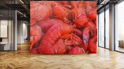 Freshly boiled lobsters. Food lobster festival Wall mural