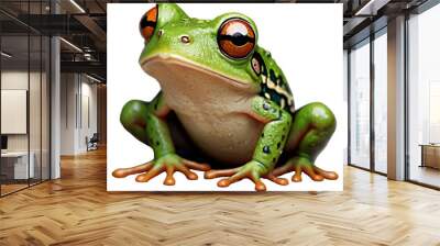 Green tree frog Wall mural