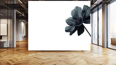 flower on a transparent background Wall mural